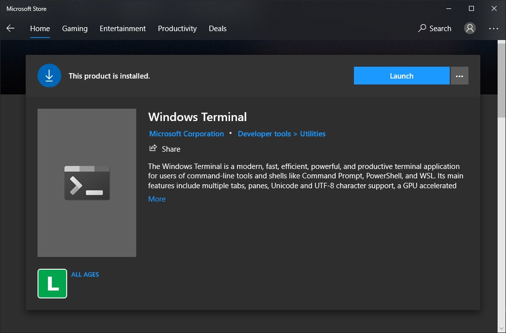 Microsoft Terminal